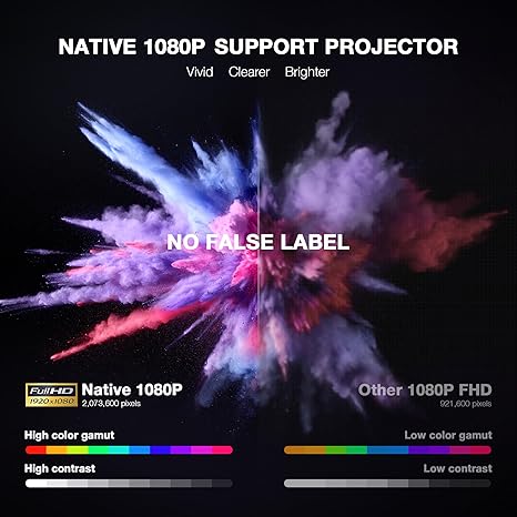 Large screen projection up to 300 inches